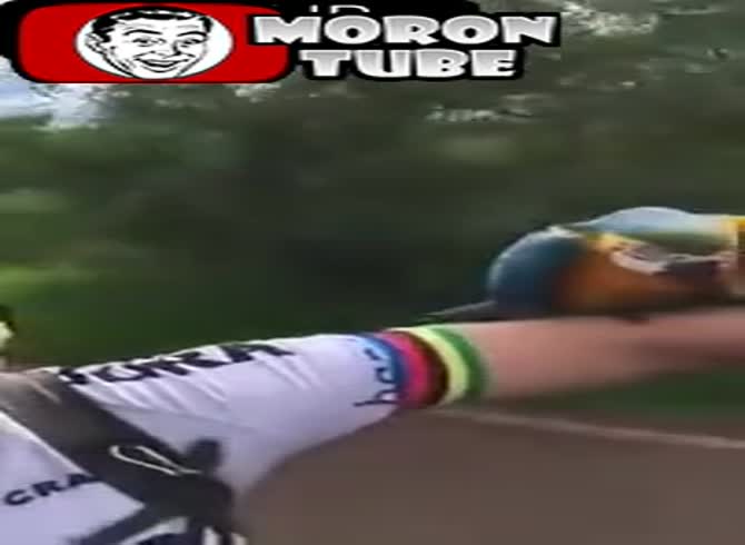 Video :A wild bird chooses to stop by a group of cyclists